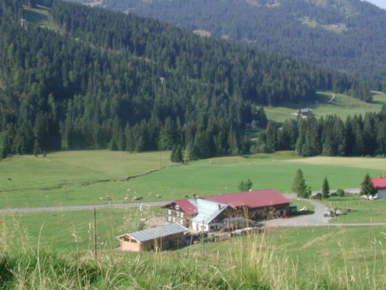 alpe_unterbalderschwang