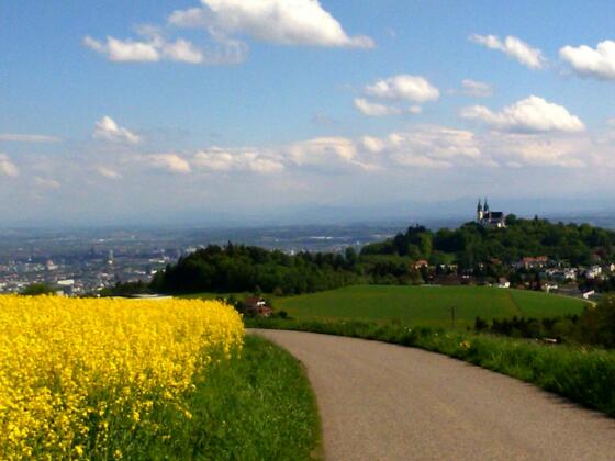 Pöstlingberg 539m von der Koglerau