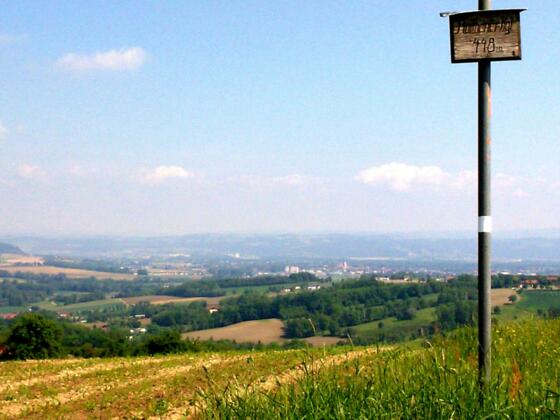 Roithener Kogel 449m