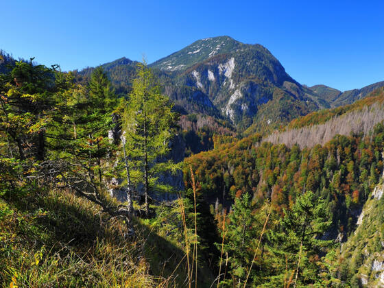 Großer Größtenberg im Nationalpark Kalkalpen © Sieghartsleitner