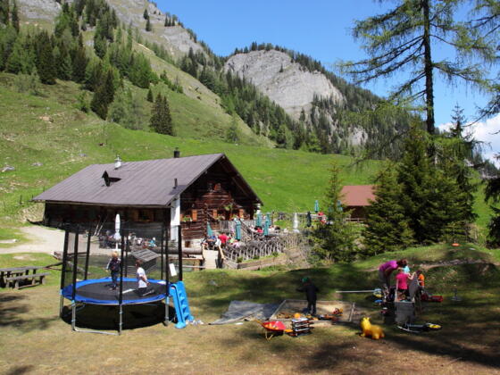 Niggeltalalm (Igltalalm)