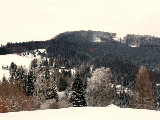 Spadenberg 1000m vom Plattenberg