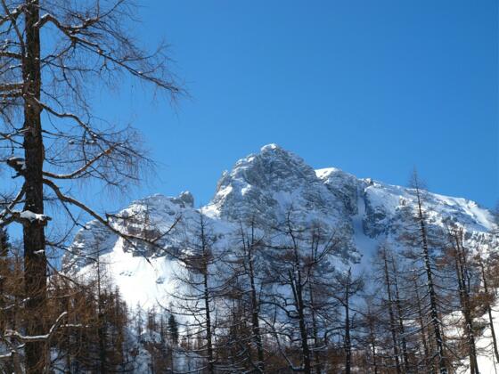 Ins obere Loigistal hinein