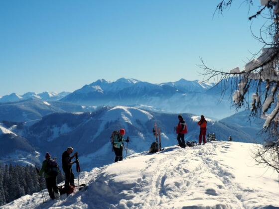 Kreuzbauernspitz 1657m