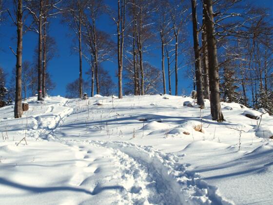Hutberg 1.196m, Aussichtsplattform.