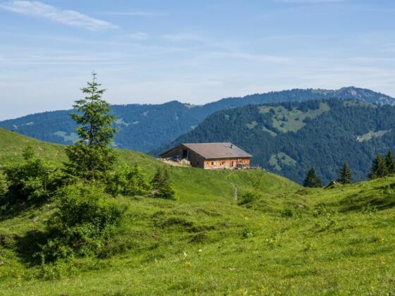 Alpe Brongen, Egg-Schetteregg