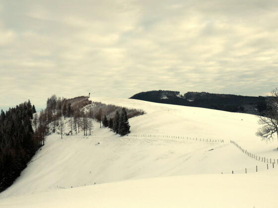 Plattenberg 919m mit Jagastand
