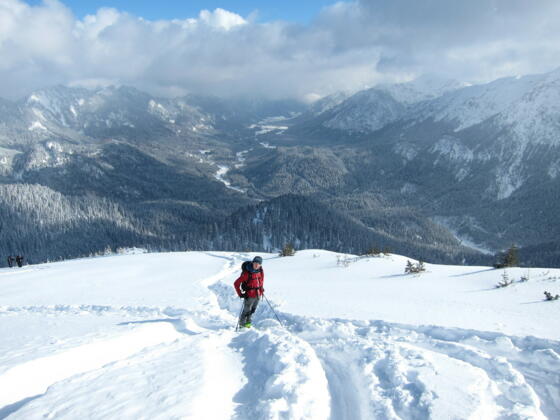 Scheinbergspitze mit Blick ins Graswangtal