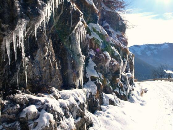 Zufahrtsstraße zur Hintersteineralm, 915m bis 1029m