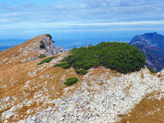 Kl.Scheiblingkogel 1966m mit Traunstein