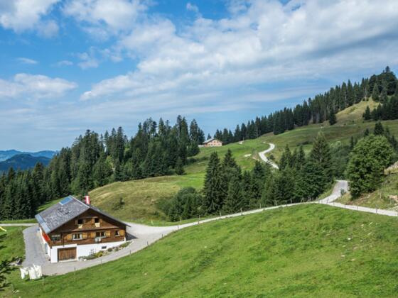 Blick auf Lustenauer Wildriesalpe