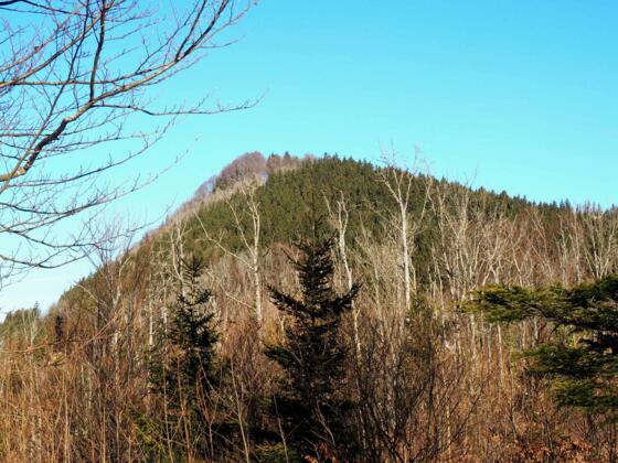 Falkenstein 993m von der Rotmauer