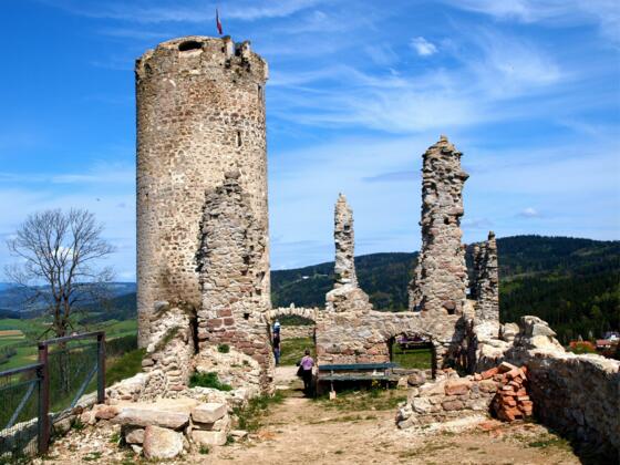 Ruine Waxenberg 830 m