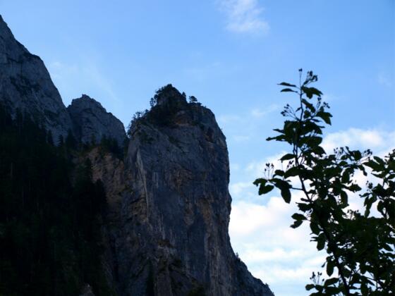Kaltenbachwildnis am Fuß des Traunsteins