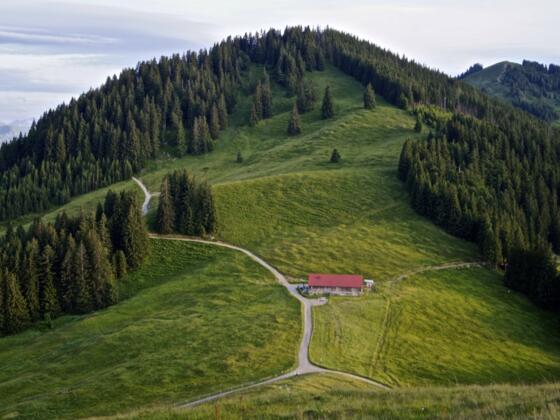 Fahnengehren Alpe bei Abenddämmerung