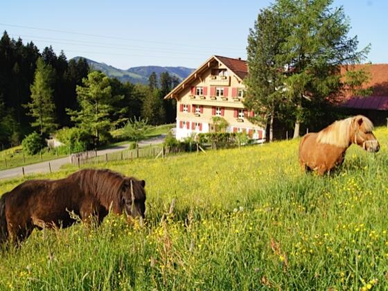 Westenried im Sommer