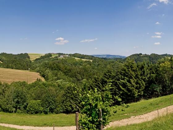 Panorama Fürstberger