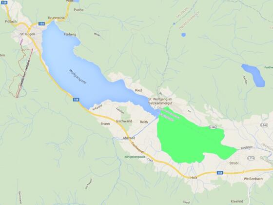 Fischen am Wolfgangsee - Ostteil