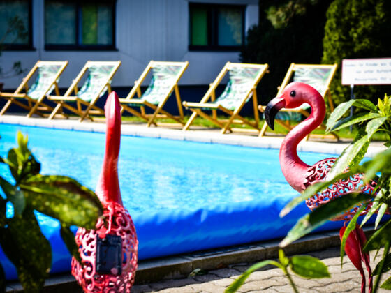 ibis Styles Linz Pool