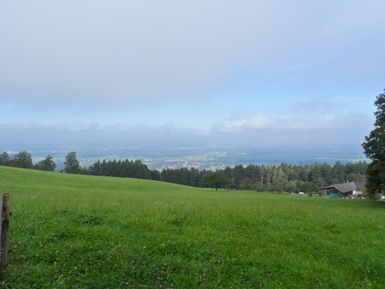 Ausblick von Wiesholz