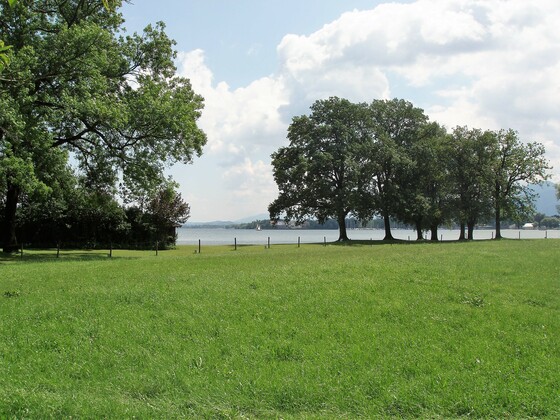 Badeplatz Schöllkopf