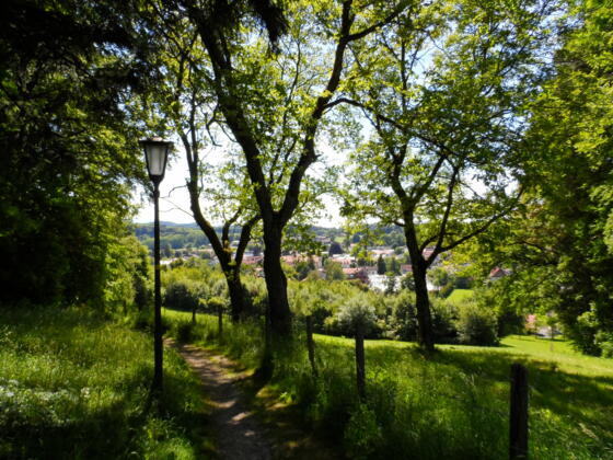 Landschaftsschutzgebiet in Prien