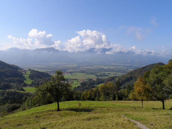 Aussicht von der Dandlberg-Alm