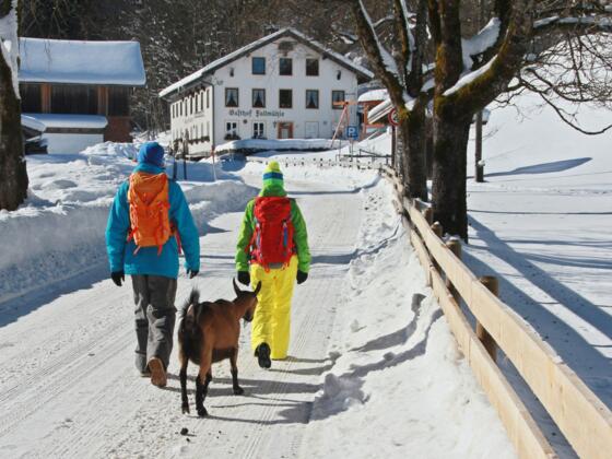 Gasthof Fallmühle im Winter