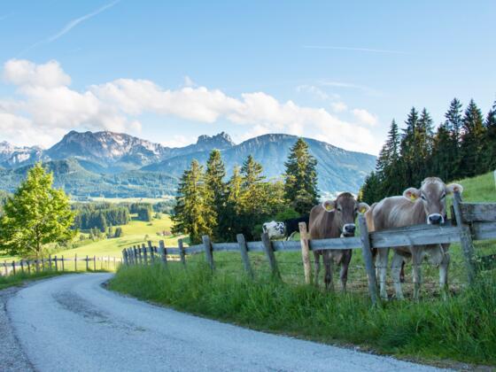 Unterwegs zur Schlossbergalm
