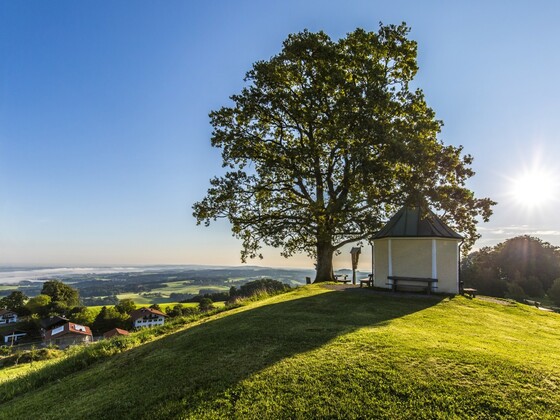 Aussichtskapelle Oberreit mit Luitpoldeiche