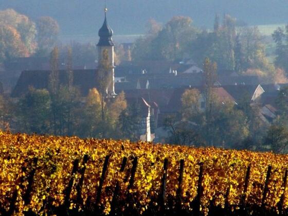Michelau im Steigerwald