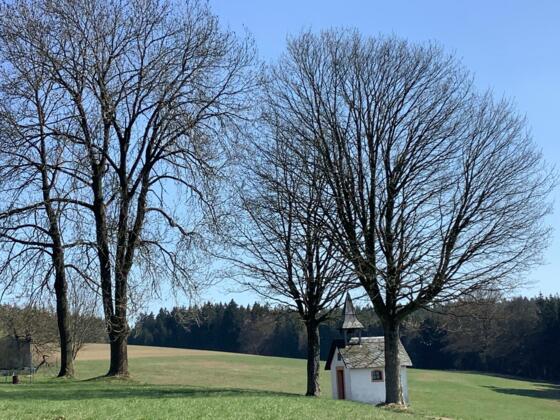 Kapelle in Filshof zwischen Marienweiher und Gundlitz