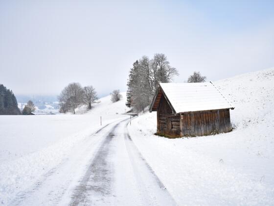 Winterwanderung Roter Bichl