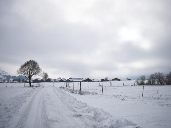 Winterwanderung Scherenauer Runde