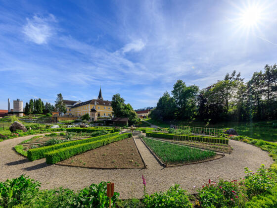 Klostergarten Gemüsesonne