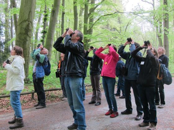 LBV Vogelbeobachtung