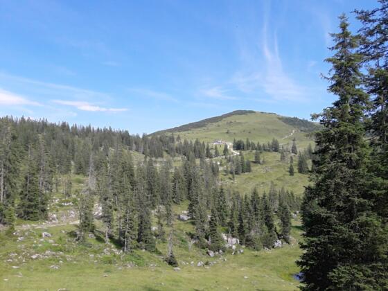 Blick zur Eggenalm mit dem Straubinger Haus