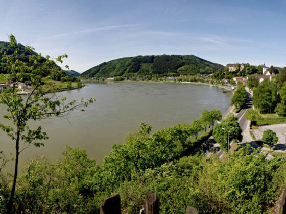 Panoramablick Grein Kalvarienberg