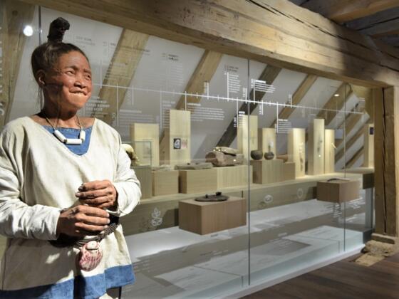 Museum für Steinzeit und Gegenwart