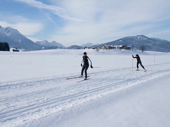Die Inzeller Berge im Blickfeld