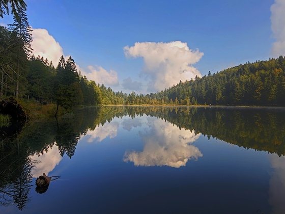 Inzell Sommer Frillensee