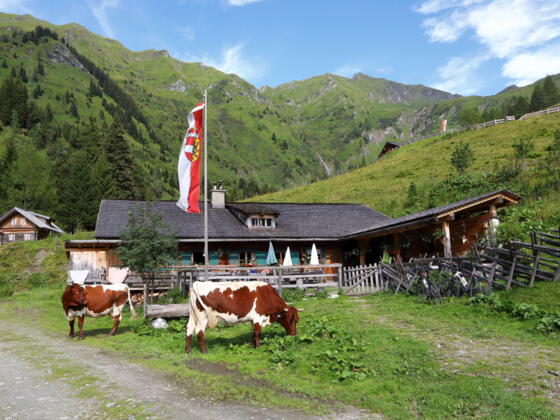 Kreealm-Kreehütte