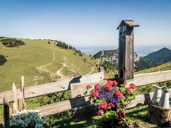 An der Steinlingalm, Blick zum Sultensattel
