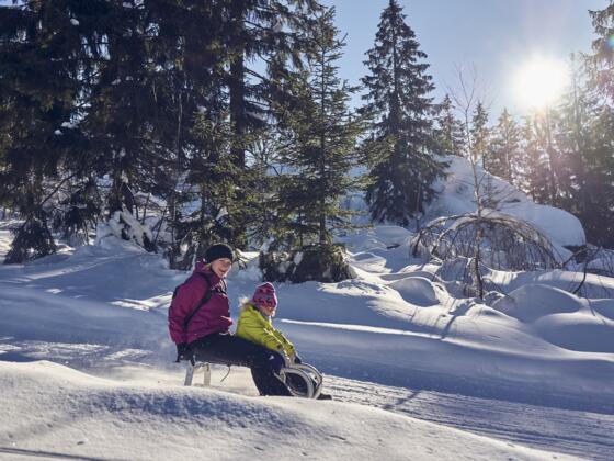 2019-01-19_19012019-Silberberg-im-Winter_Woidlife190119mf040_75074_klein