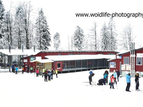 Woidlife311214mf047(1)