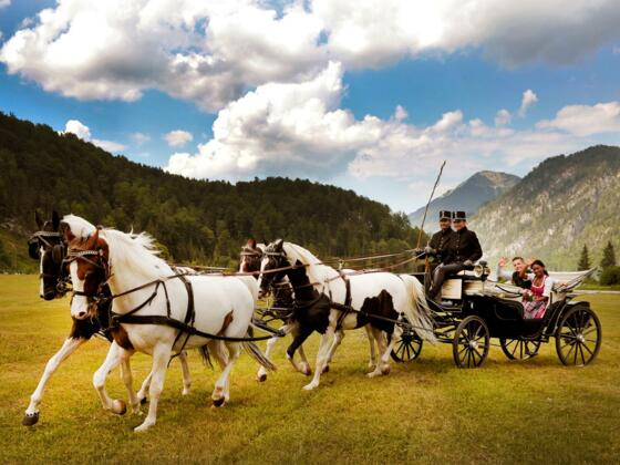 Die Salzkammerkutscher-Hochzeitskutsche im Almtal