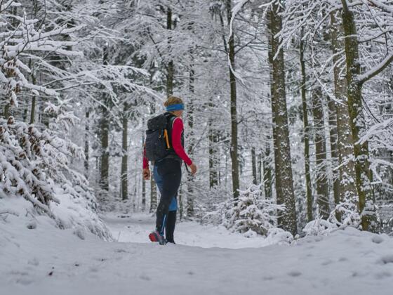 Winterwandern