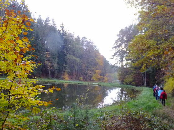 Wanderung vor Birnbaum