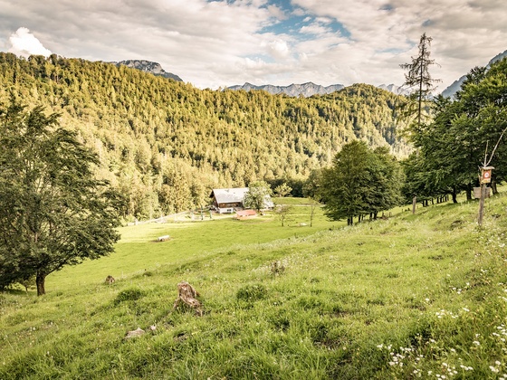 Die Höllenbachalm eingebettet in herrliche Landschaft