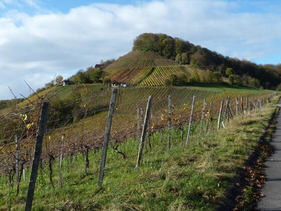 Stollberg, Frankens malerister und höchster Weinberg